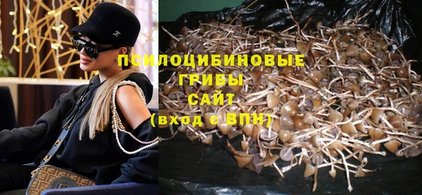 бутират Бугульма