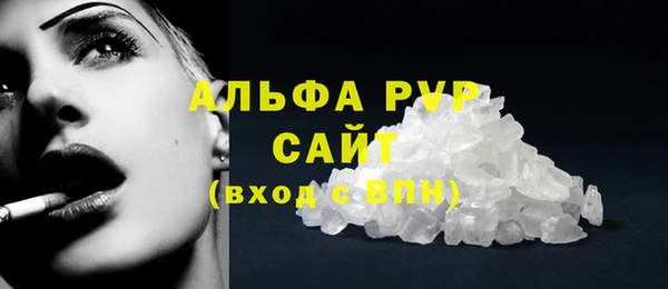 гидра Бронницы