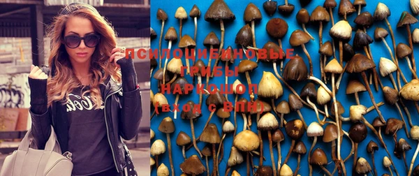 гидра Бронницы