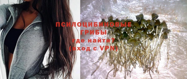 гидра Бронницы