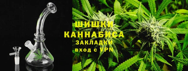 гидра Бронницы