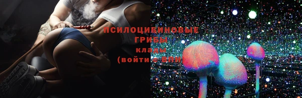 гидра Бронницы