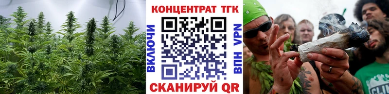 магазин продажи   Ковров  Дистиллят ТГК THC oil 