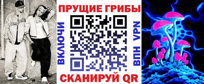 Галлюциногенные грибы Psilocybine cubensis  Ковров 